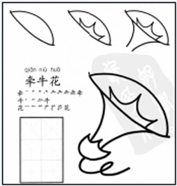 How to draw morning glory simple drawing tutorial