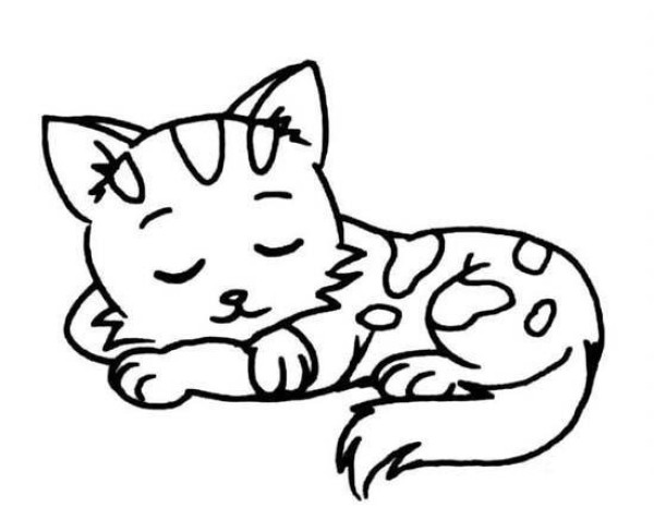 Childrens simple animal drawings: sleeping kitten