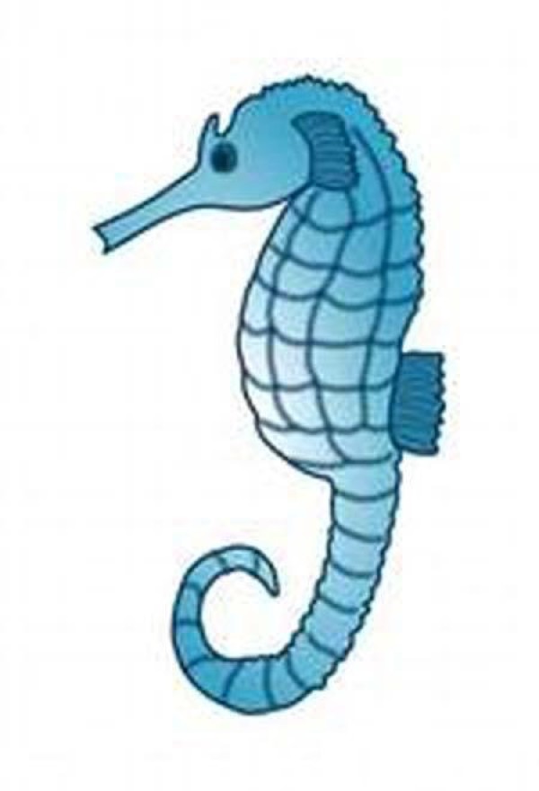 Complete picture collection of simple drawings of seahorses with color