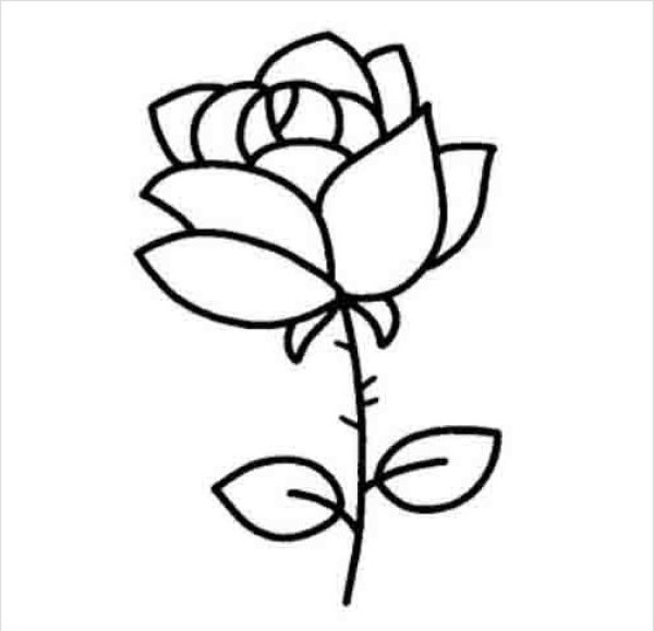 Simple drawing of roses_Simple drawings of roses