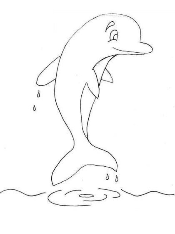 Hand drawn dolphin simple strokes picture