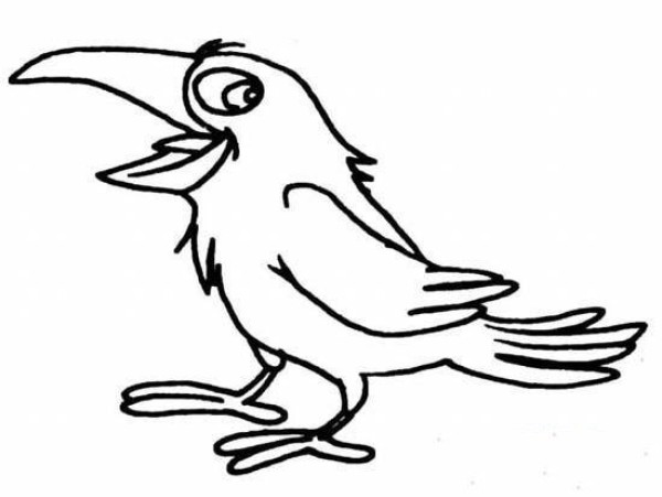 Simple animal drawing pictures for children: Crying crow