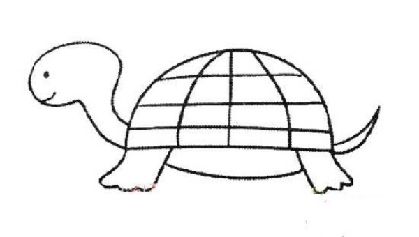 Kindergarten little turtle simple drawing picture