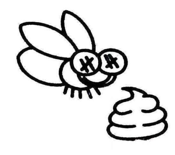 Simple drawing pictures of flies: flies poop