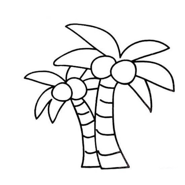 Simple drawing of coconut trees in kindergarten: two coconut trees