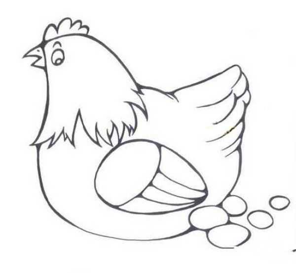 About the simple drawing pictures of old hens laying eggs