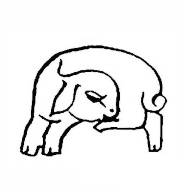 Simple drawing of sleeping sheep