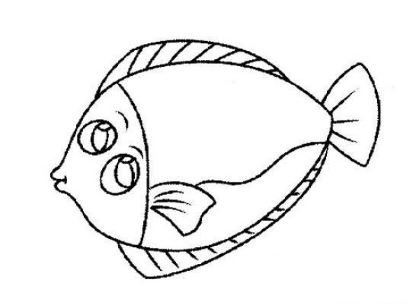 Simple drawing of fish: flounder