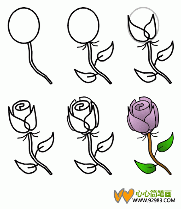 Simple drawing tutorial of rose flower