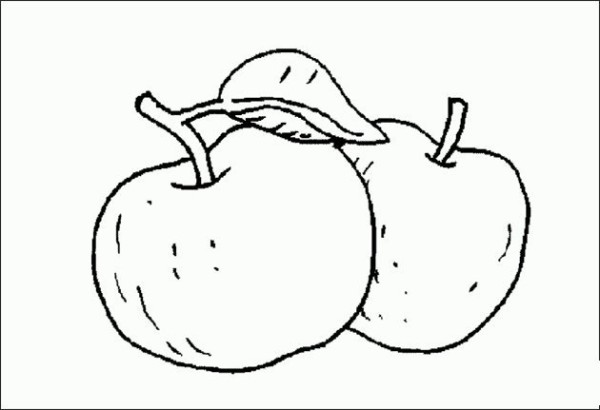 Simple strokes of two apples