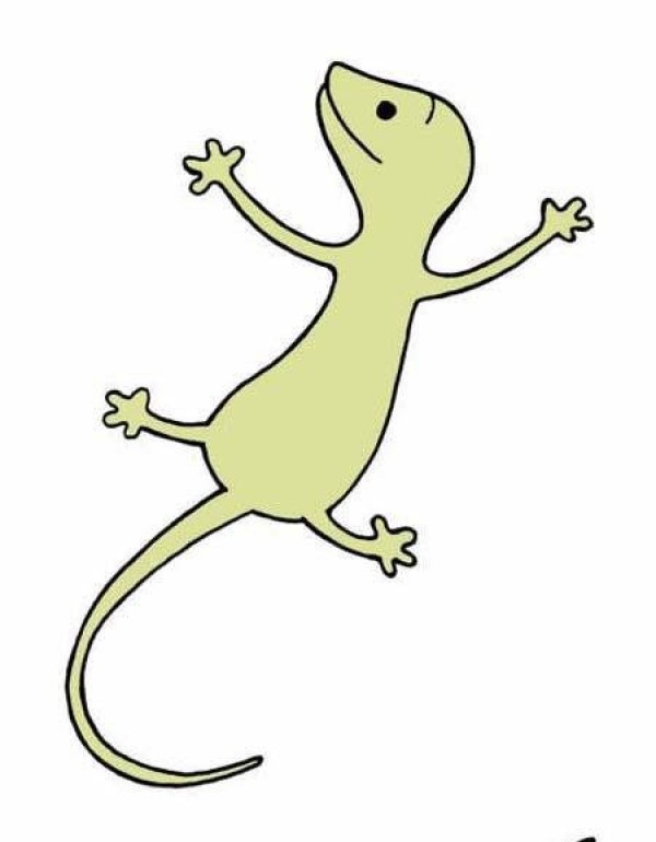 Colored gecko simple drawing pictures