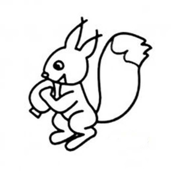 Childrens simple drawing: Squirrel eating nuts