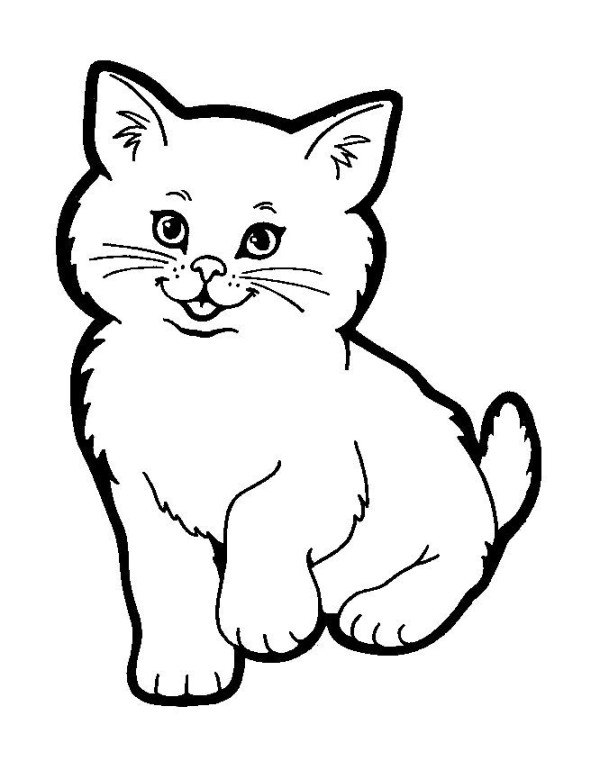 Simple drawing of cat