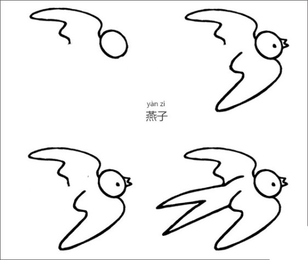 How to draw a swallow