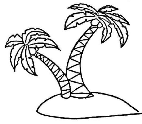 Childrens simple drawing: coconut tree