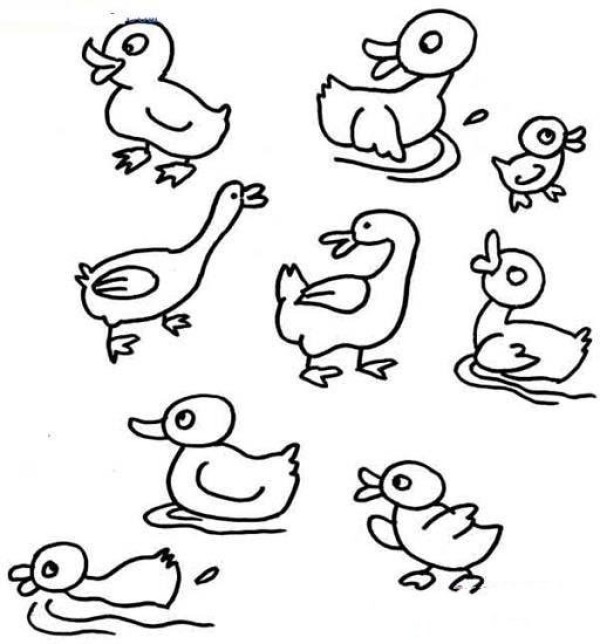 A complete collection of simple strokes of little duck