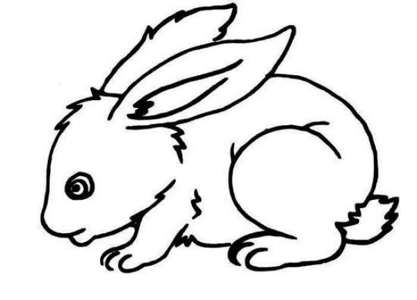 Rabbit simple drawing picture