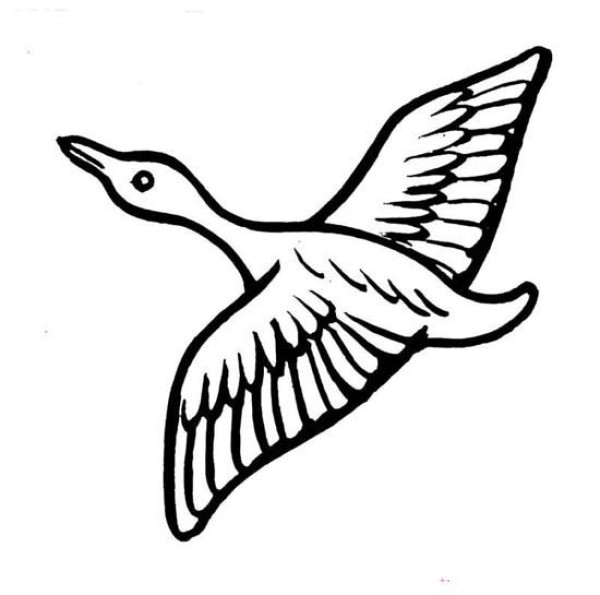 A simple drawing of a swan passing over the lake