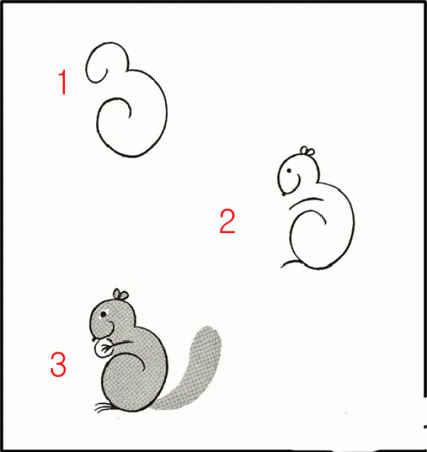 How to draw a squirrel in simple strokes: How to draw a squirrel