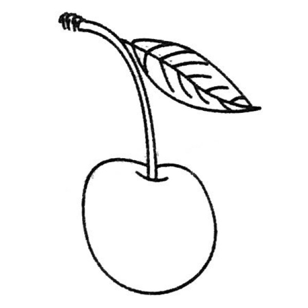 Complete collection of simple cherry drawings and drawing steps