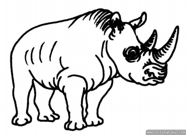 Rhinoceros simple drawing tutorial: tall rhinoceros