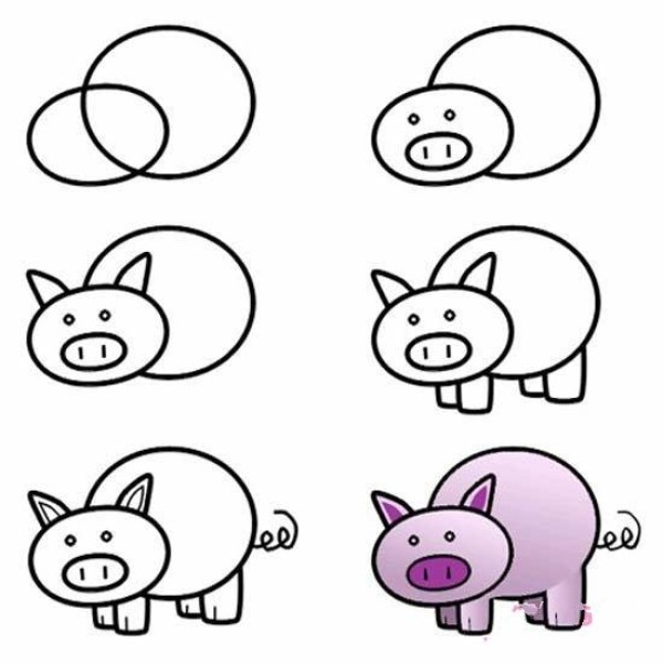 Pig simple drawing tutorial step-by-step pictures: How to draw a pig