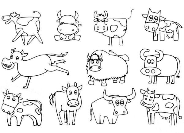 Cow simple drawing examples and steps