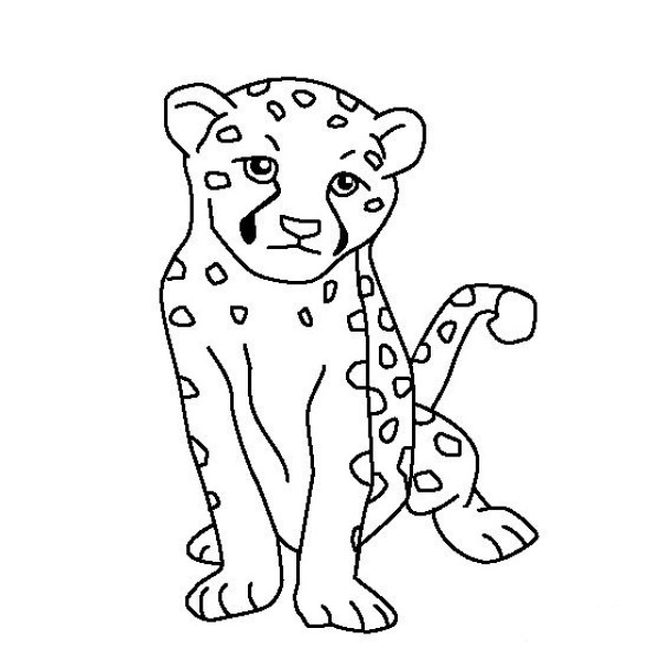 Simple drawings of animals, simple drawings of little leopards