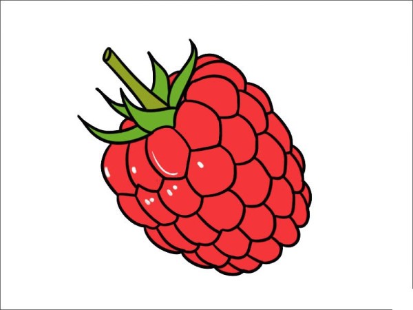 Raspberry simple strokes