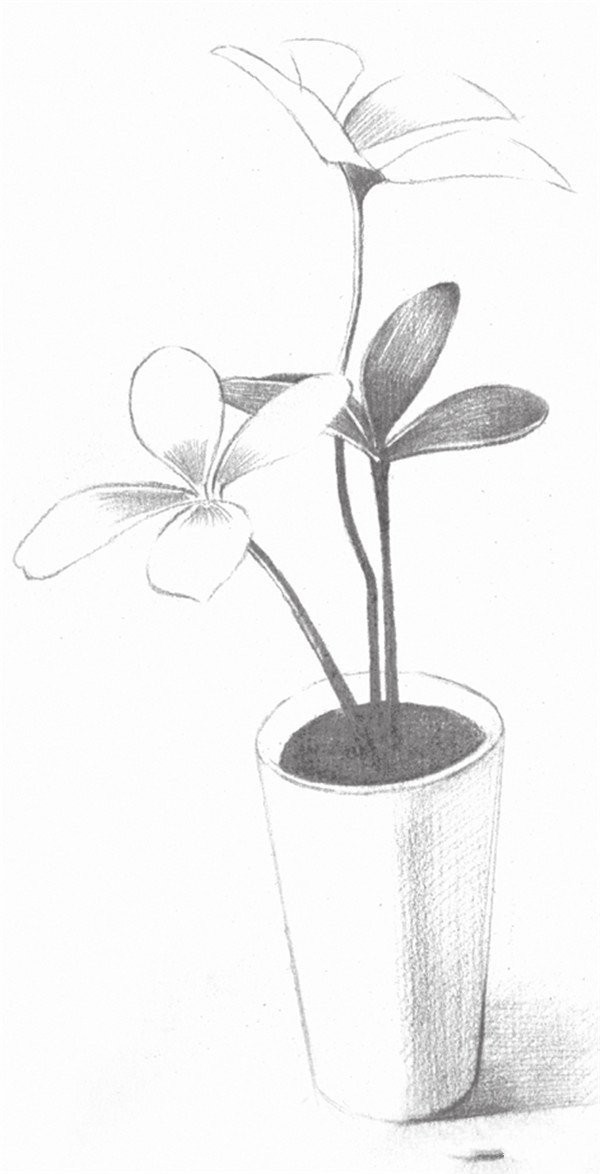 Sketch drawing techniques of four-leaf clover