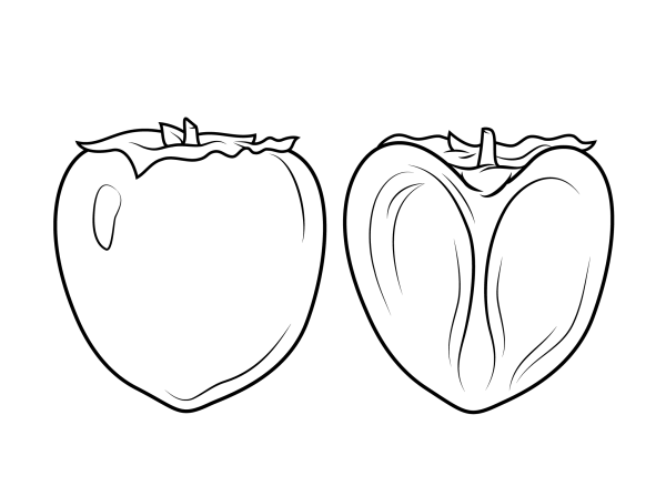 Simple method of drawing persimmon