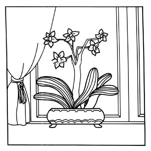 Simple drawing of beautiful window sill bonsai