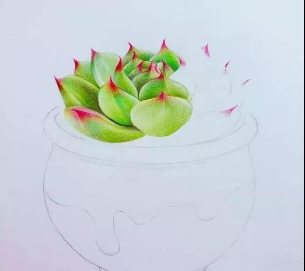 Colored lead painting~Teach you how to draw a combination of succulent flowers and pots!