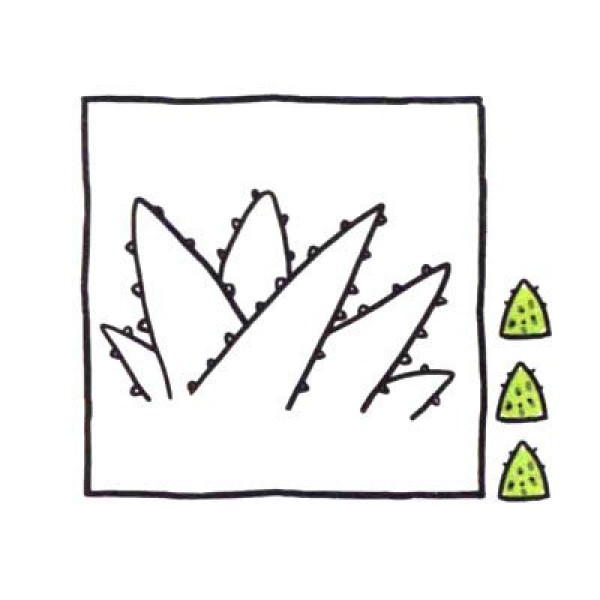 Draw cute simple drawings in four steps. Radiation protection expert Aloe Vera