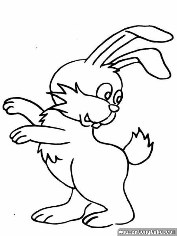 Cute Cartoon Rabbit Simple Drawing Collection