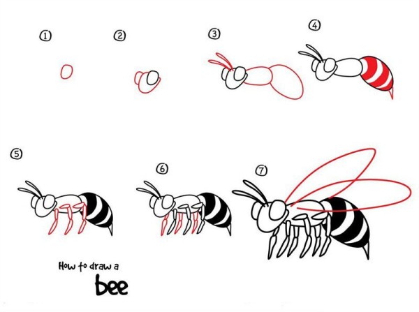 How to draw a bee Bee simple drawing tutorial