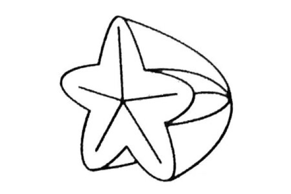 A complete collection of simple strokes of carambola and the steps of how to draw it