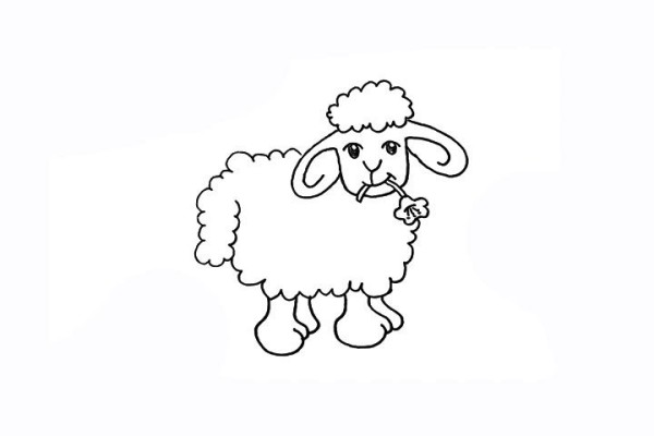 How to draw a little sheep