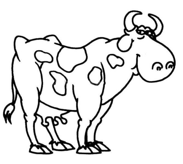 Proud Cow Simple Drawing