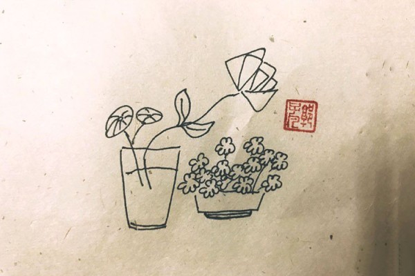 A very artistic set of simple drawings of potted plants