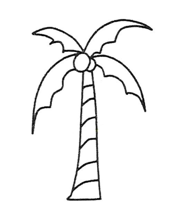 Complete collection of simple drawings for children, simple drawing pictures of coconut trees