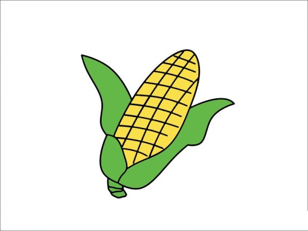 Simple picture of corn