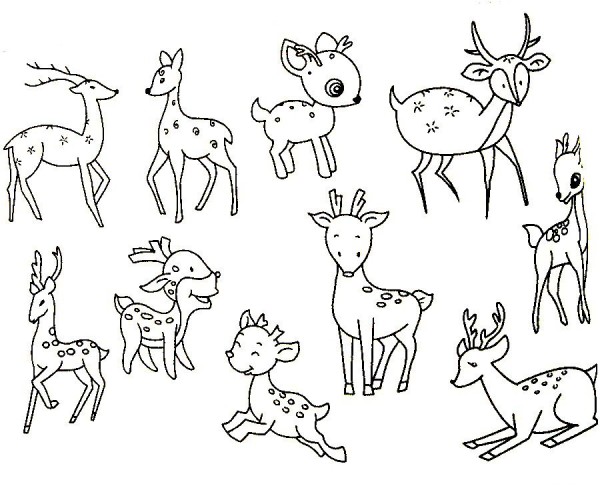 Sika deer simple drawing examples and drawing steps