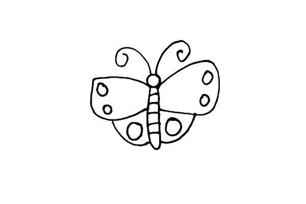 small butterfly