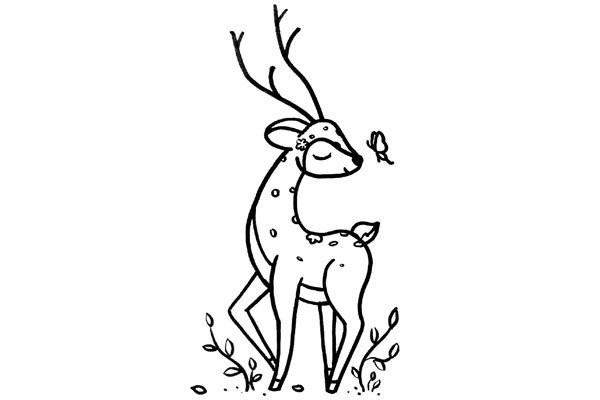 Learn to draw sika deer together