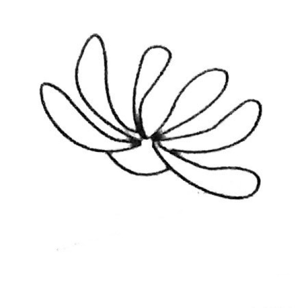 Complete collection of chrysanthemum simple strokes and drawing steps