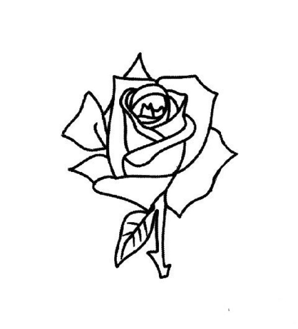 Simple drawing of a rose