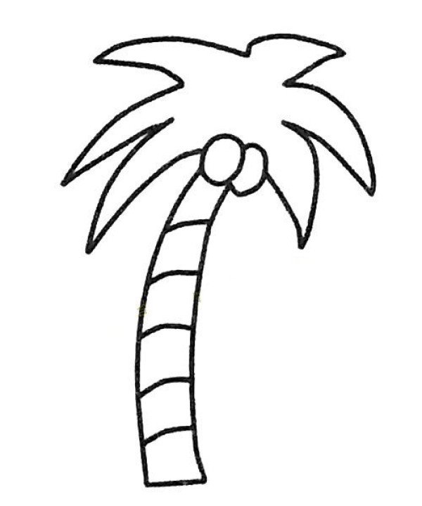 Childrens simple drawing collection of coconut tree simple drawing pictures