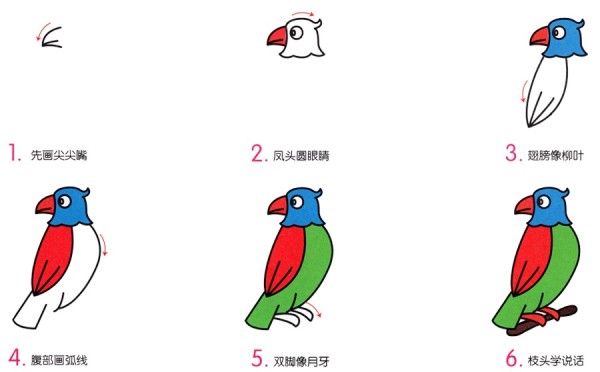 How to draw cute parrot with simple strokes