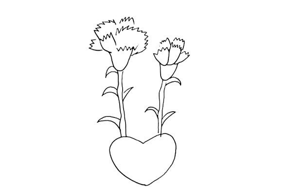 How to draw a love carnation